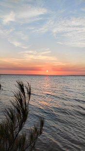 WhatsApp Image 2024-10-04 at 14_44_20_ca9e764f - C